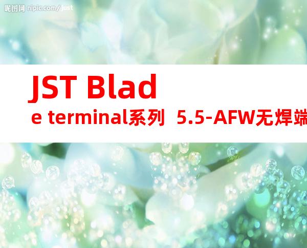 JST Blade terminal系列  5.5-AFW无焊端子产品规格书